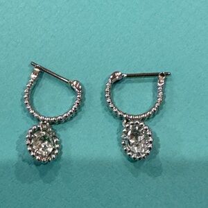 Beautiful earrings from Swaroviski